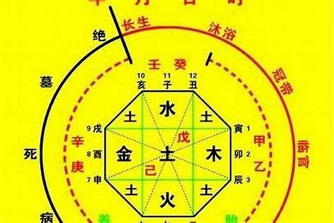 八字喜火的建议 丁丑五行